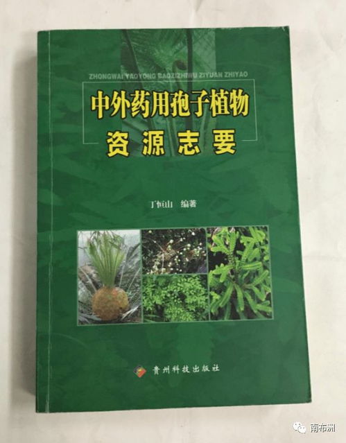 解密档案 丁恒山 关于通环公司和南通市益康食品饮料厂情况的简要汇报 1992年4月